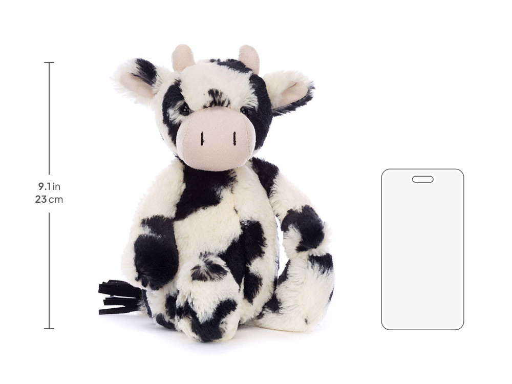 Bashful Calf - Image 3