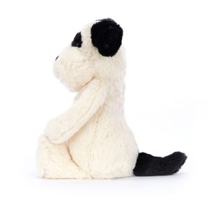 BASHFUL_BLACK_AND_CREAM_PUPPY_2__19020.1727975749