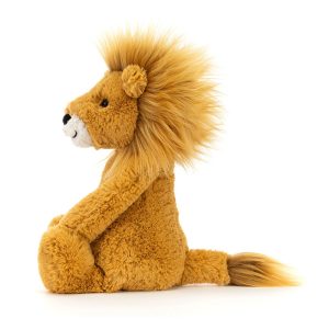 BASHFUL_LION_1__67814.1727975905