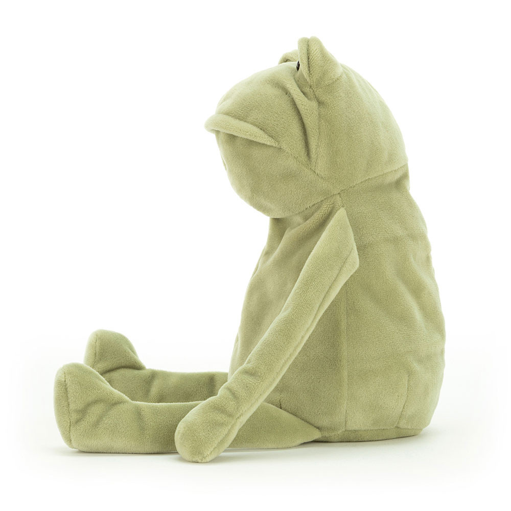 Fergus Frog - Image 9