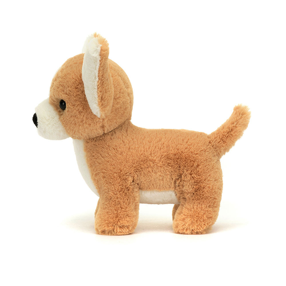 Isobel Chihuahua - Image 2