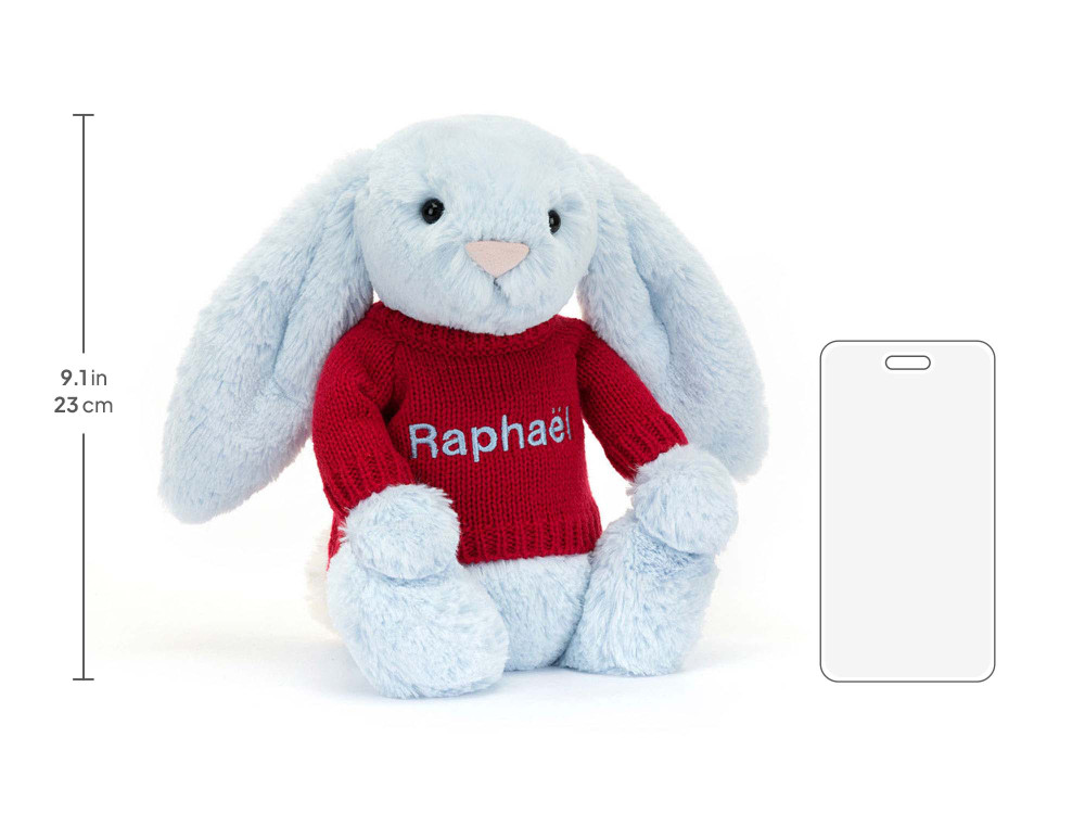 Bashful Blue Bunny with Personalized Red Jumper - Image 5