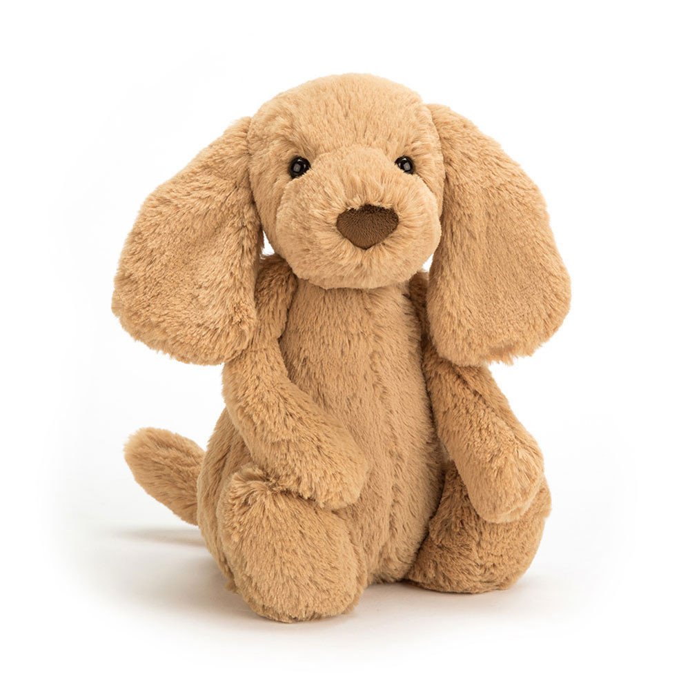 If I Were a Dog Board Book & Bashful Toffee Puppy Medium - Image 6