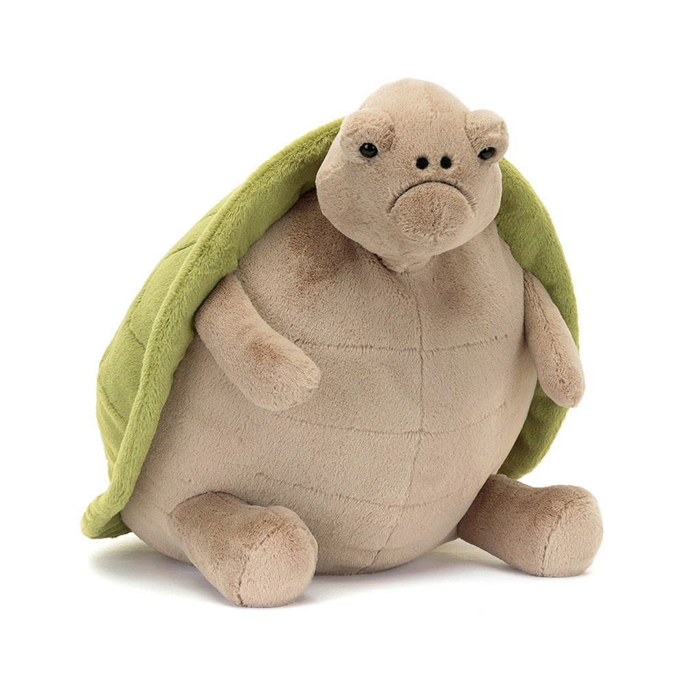 Timmy Turtle - Image 4