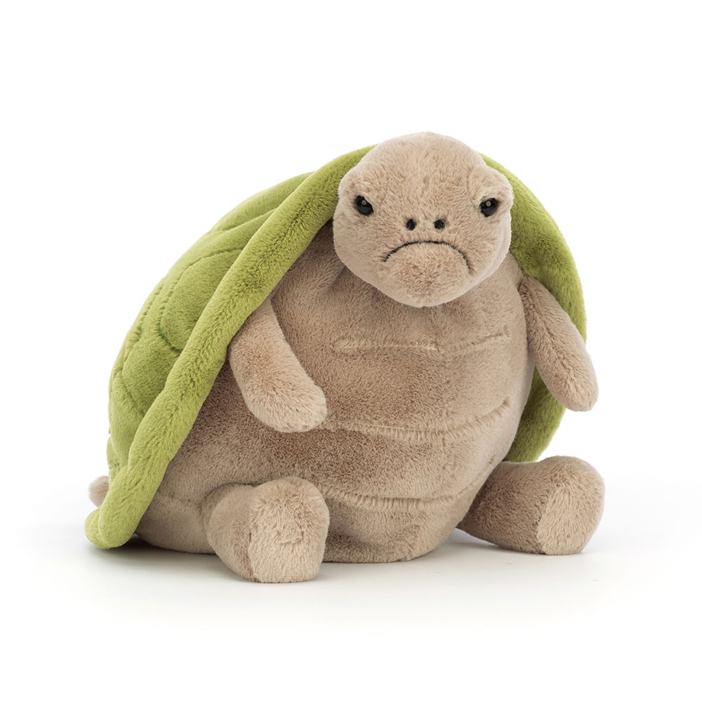 Timmy Turtle - Image 9